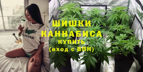 мяу мяу мука Абаза