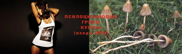 соль ск Абдулино
